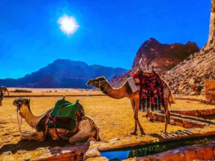 Moon City With Jeep Trips Wadi Rum Exteriér fotografie