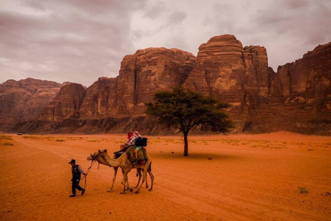 Moon City With Jeep Trips Wadi Rum Exteriér fotografie