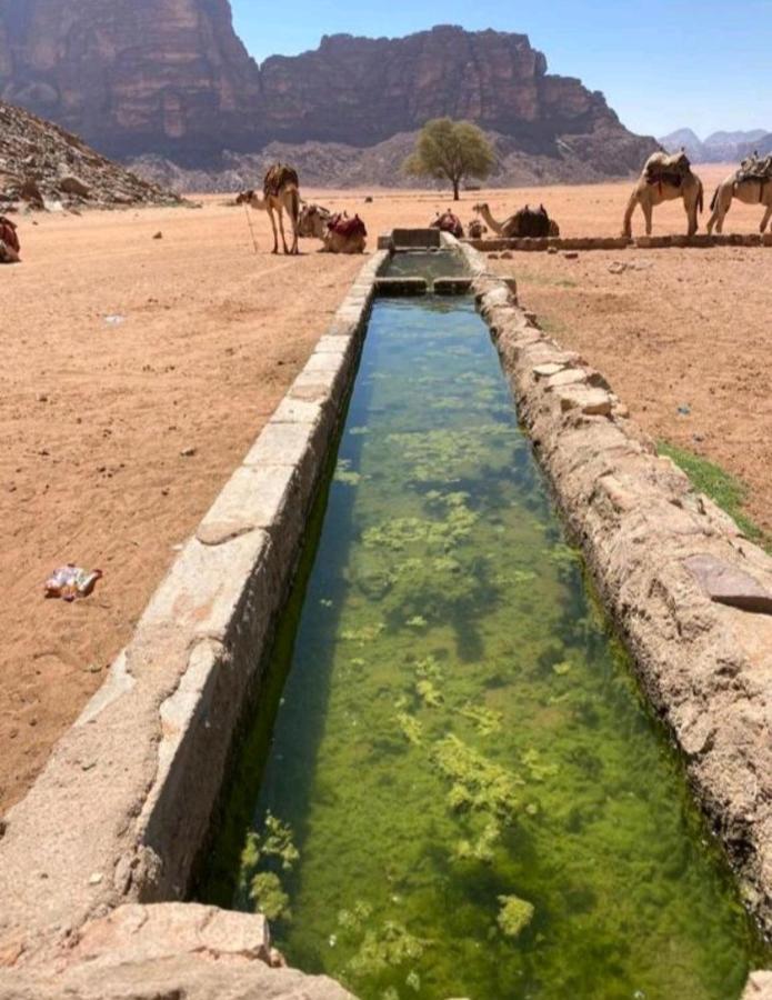Moon City With Jeep Trips Wadi Rum Exteriér fotografie