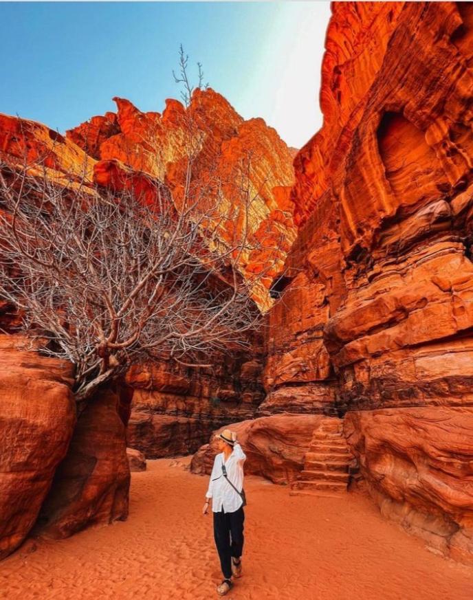 Moon City With Jeep Trips Wadi Rum Exteriér fotografie